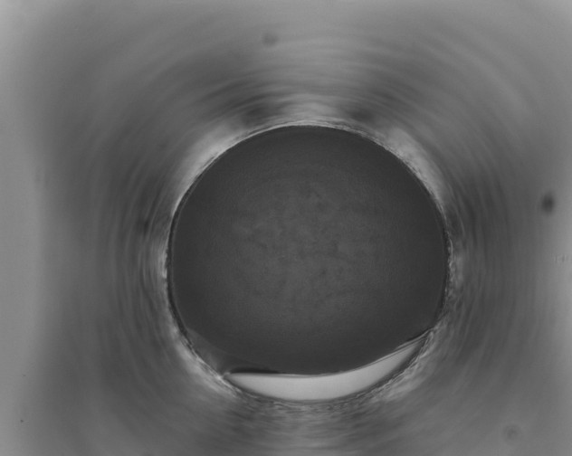 X0000094350954200711091449