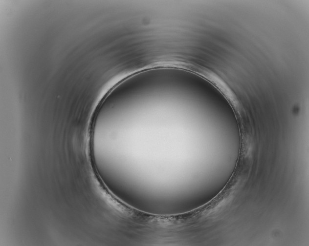 X0000094350955200711091449