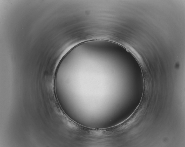 X0000094350956200711091449