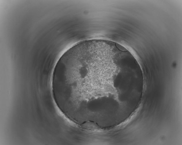 X0000094350957200711091449