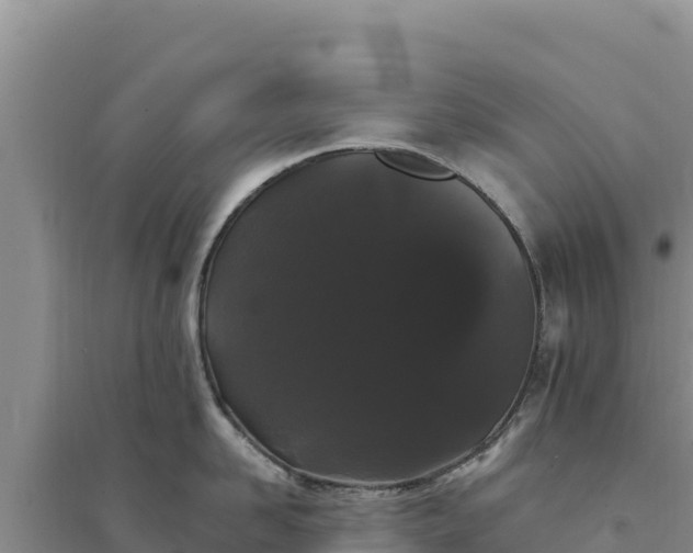 X0000094350958200711091449