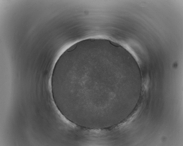 X0000094350959200711091449