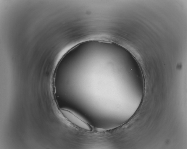 X0000094350960200711091449