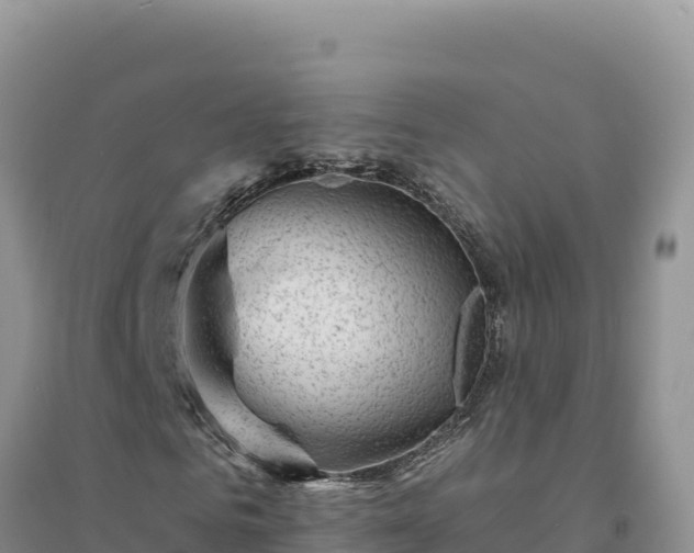 X0000094350961200711091448