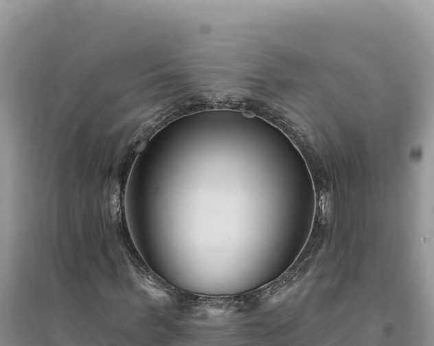 X0000094350963200711091448