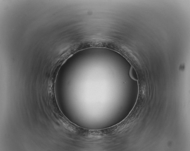 X0000094350964200711091448