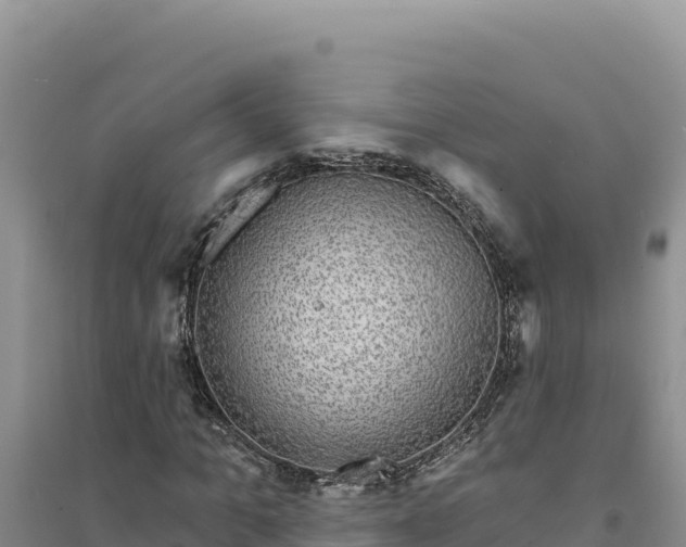 X0000094350965200711091448