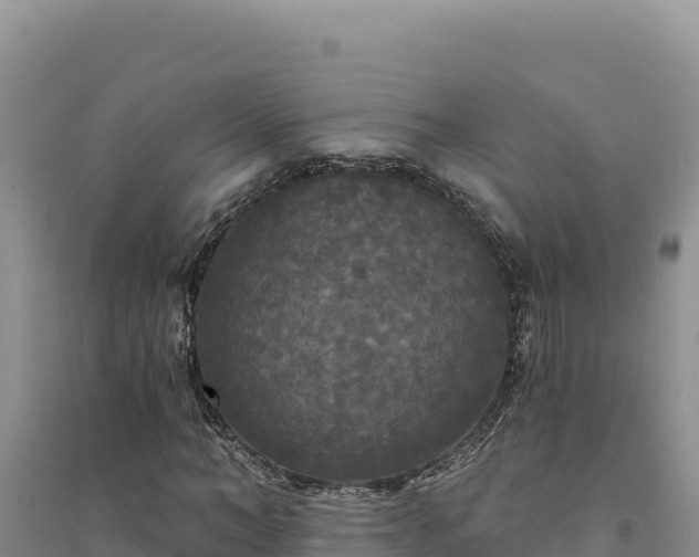 X0000094350966200711091448