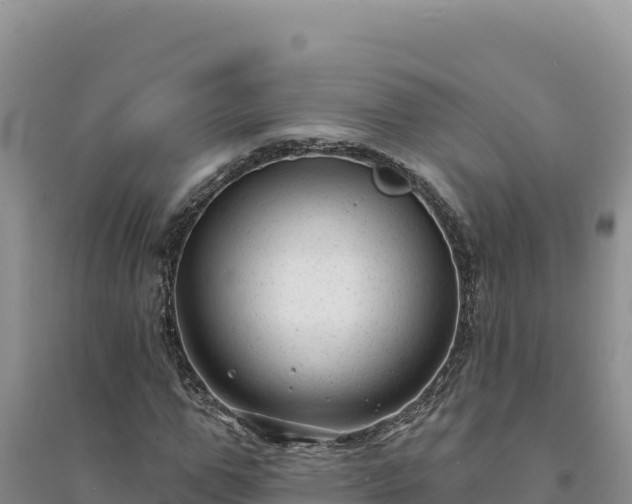 X0000094350967200711091448