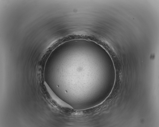 X0000094350968200711091448