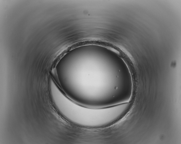 X0000094350969200711091448