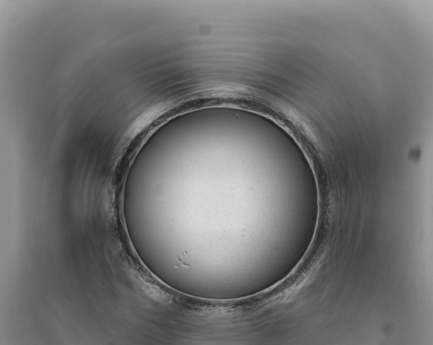 X0000094350970200711091448