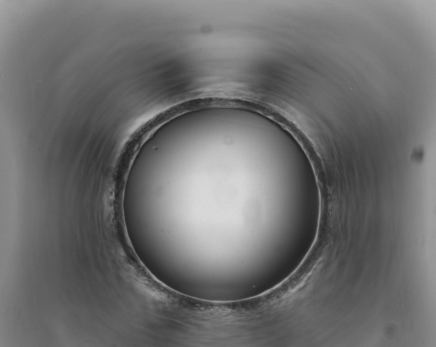 X0000094350971200711091448