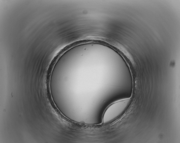 X0000094350972200711091448