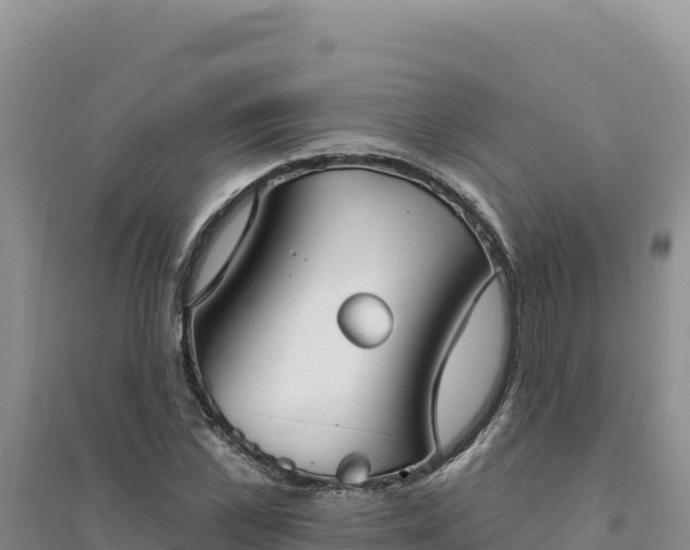 X0000094350973200711091448