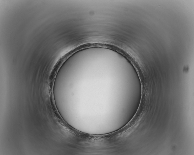 X0000094350974200711091448