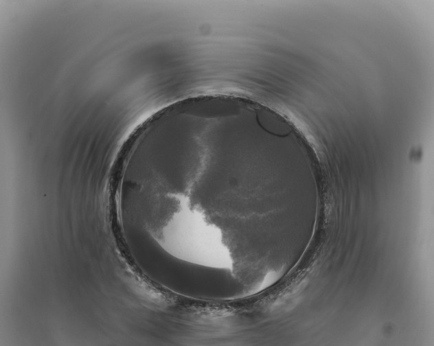 X0000094350975200711091448