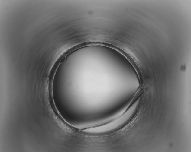 X0000094350976200711091448