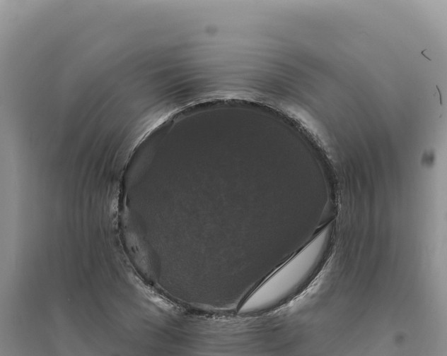 X0000094350977200711091448