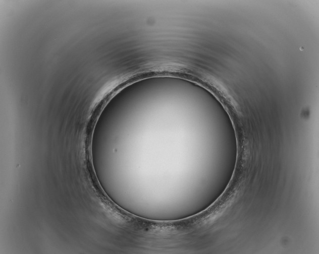 X0000094350978200711091448