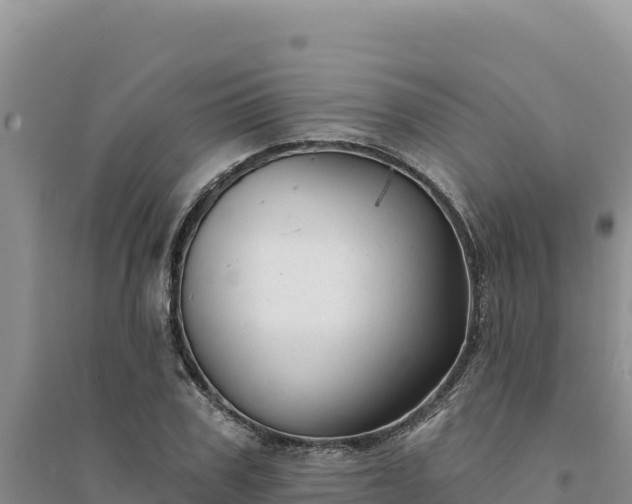 X0000094350979200711091448