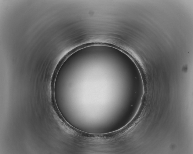 X0000094350980200711091448