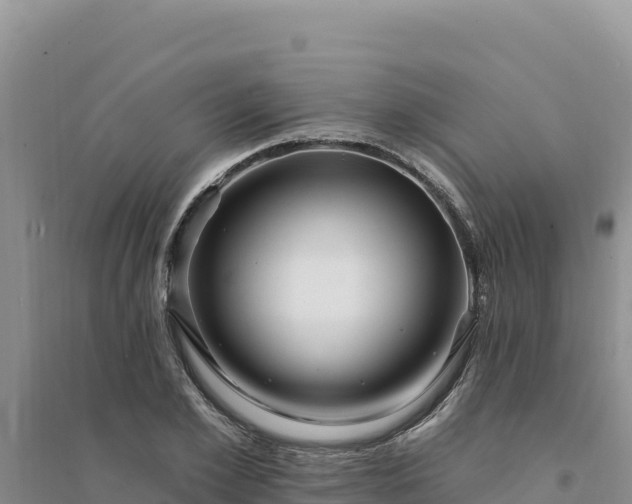 X0000094350981200711091448