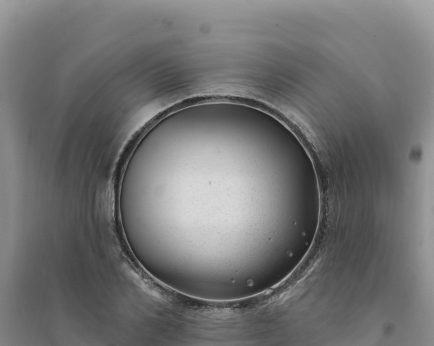 X0000094350982200711091448