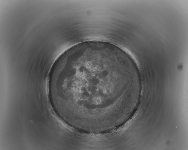 X0000094350983200711091448