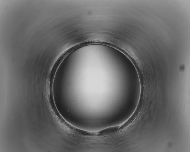 X0000094350984200711091448