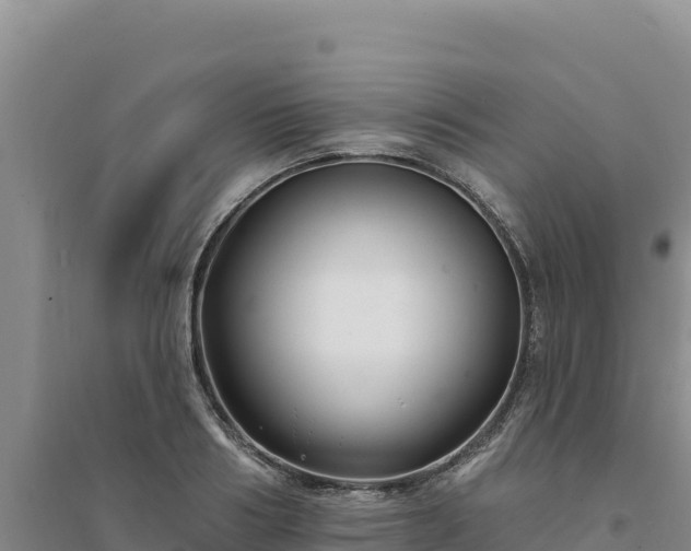 X0000094350986200711091448