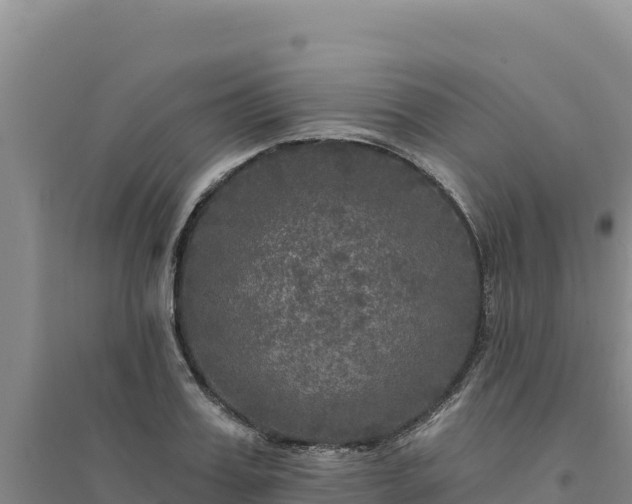 X0000094350987200711091448