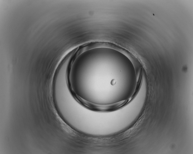 X0000094350988200711091448