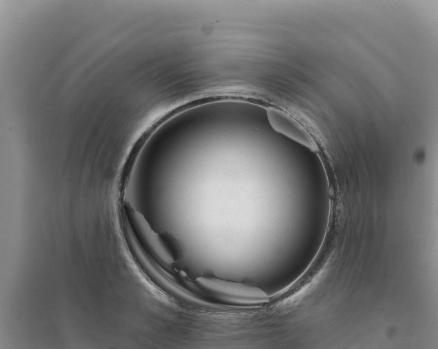 X0000094350989200711091448