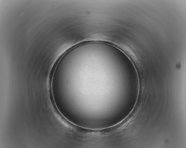 X0000094350990200711091448