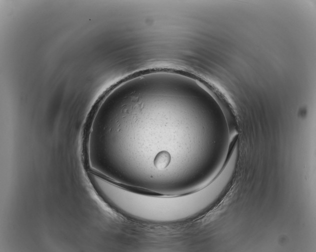 X0000094350991200711091448