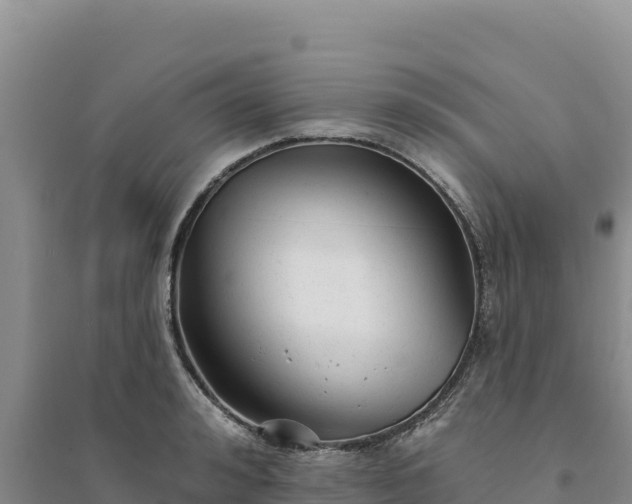 X0000094350992200711091448