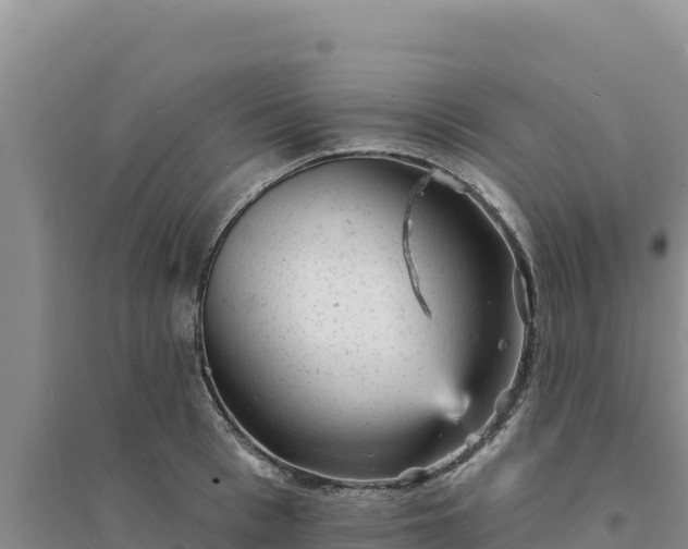 X0000094350993200711091448