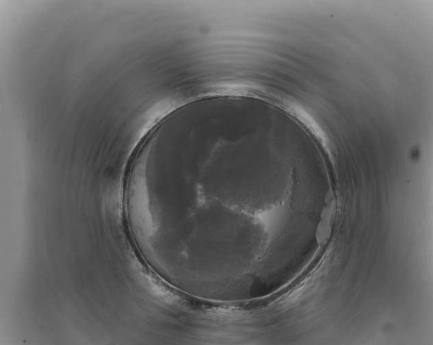 X0000094350994200711091448