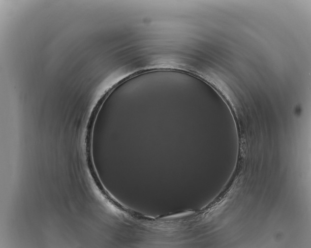 X0000094350995200711091448