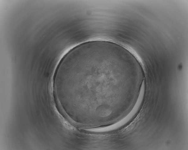 X0000094350996200711091448