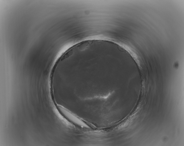 X0000094350998200711091448