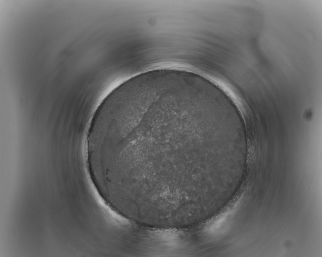 X0000094350999200711091448