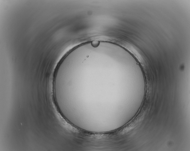 X0000094351000200711091448