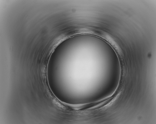 X0000094351001200711091448