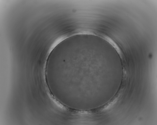 X0000094351002200711091448