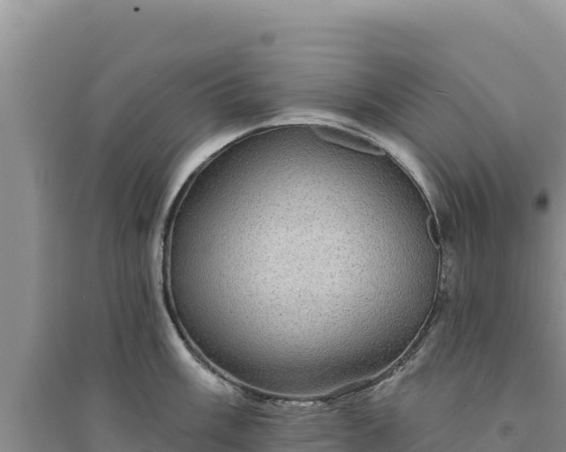 X0000094351003200711091448