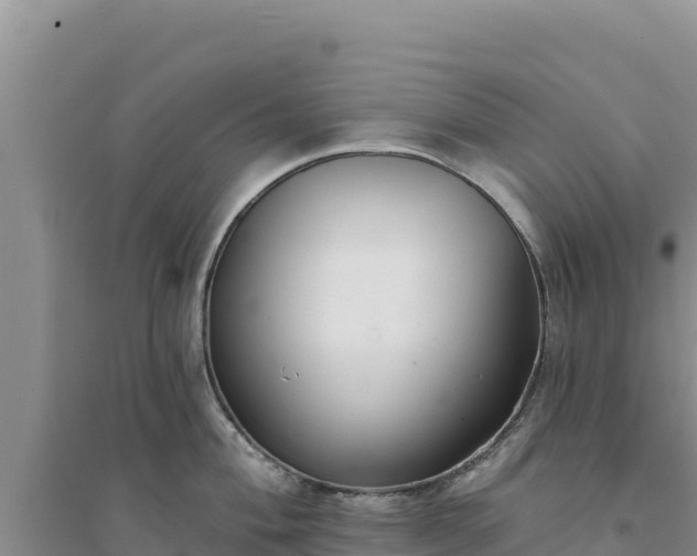 X0000094351004200711091448