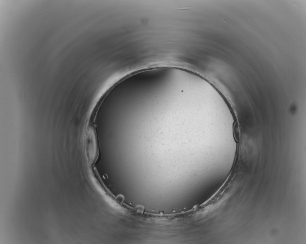 X0000094351005200711091448