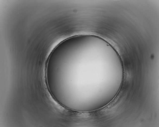 X0000094351006200711091448